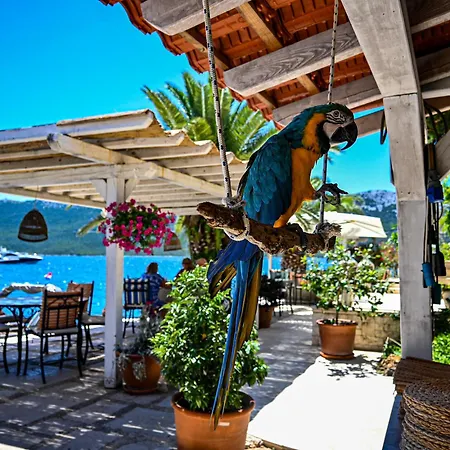 Villa Rava Hotel & Restaurant-3